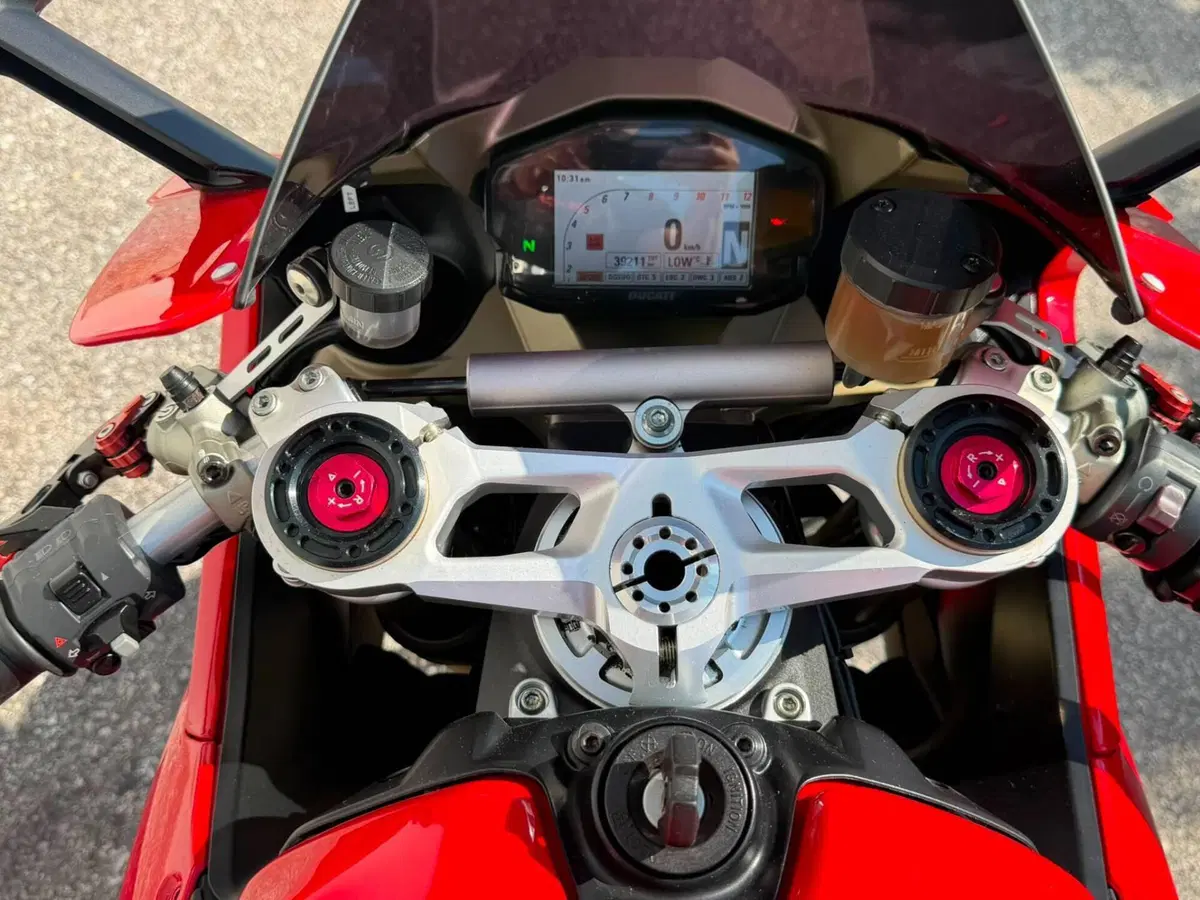 Ducati 1299 Panigale (2015 - 17) (3)