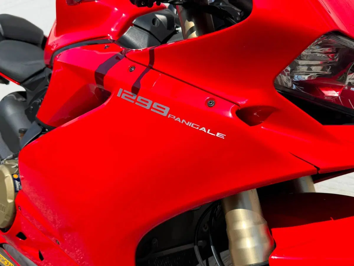 Ducati 1299 Panigale (2015 - 17) (5)