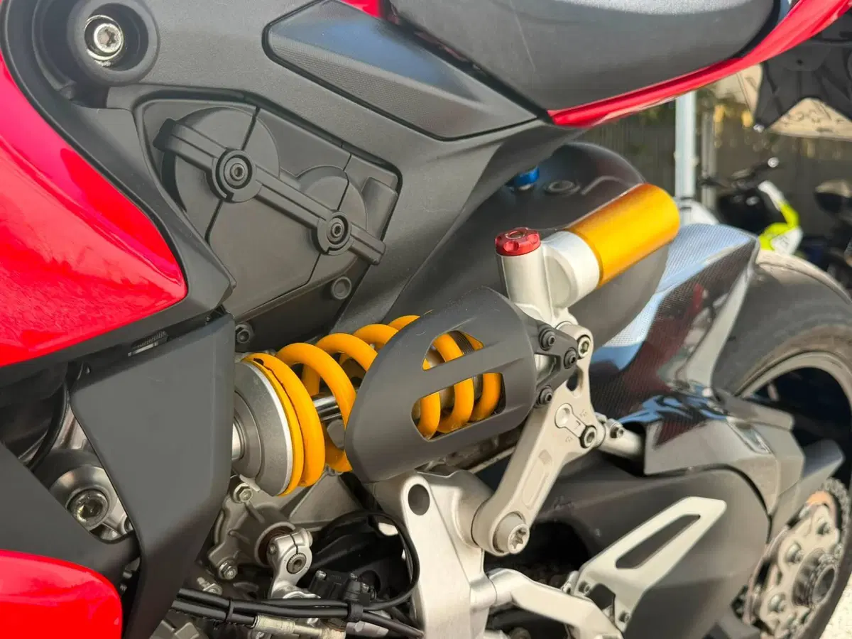 Ducati 1299 Panigale (2015 - 17) (6)