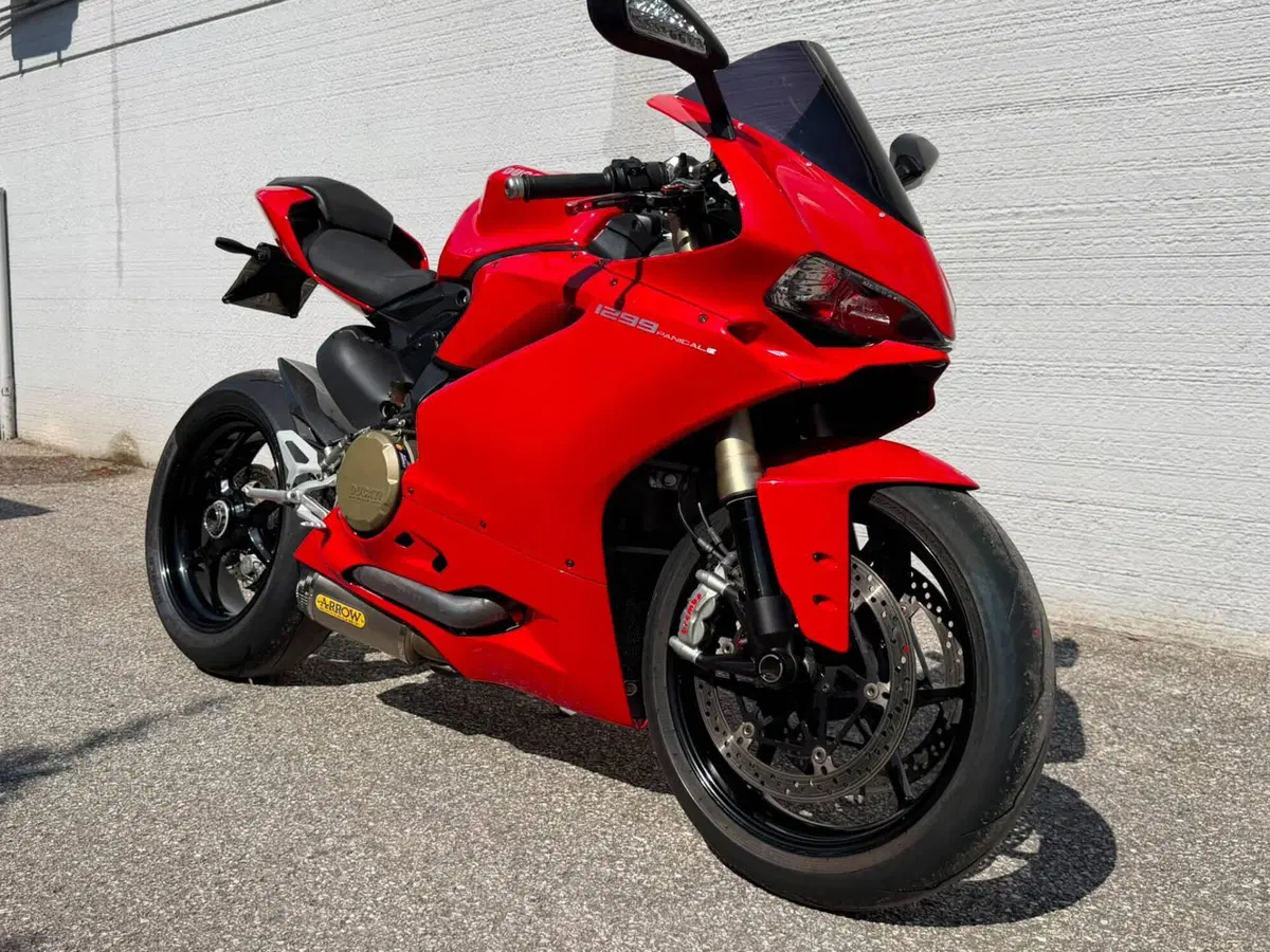 Ducati 1299 Panigale (2015 - 17) (2)