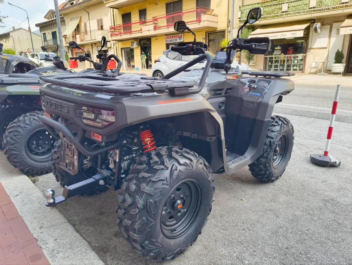  Altre moto o tipologie Quad (6)