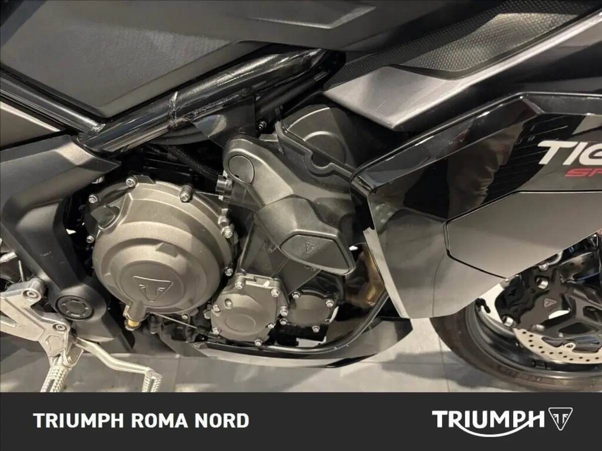 Triumph Tiger Sport 800 (2025 - 26) (7)