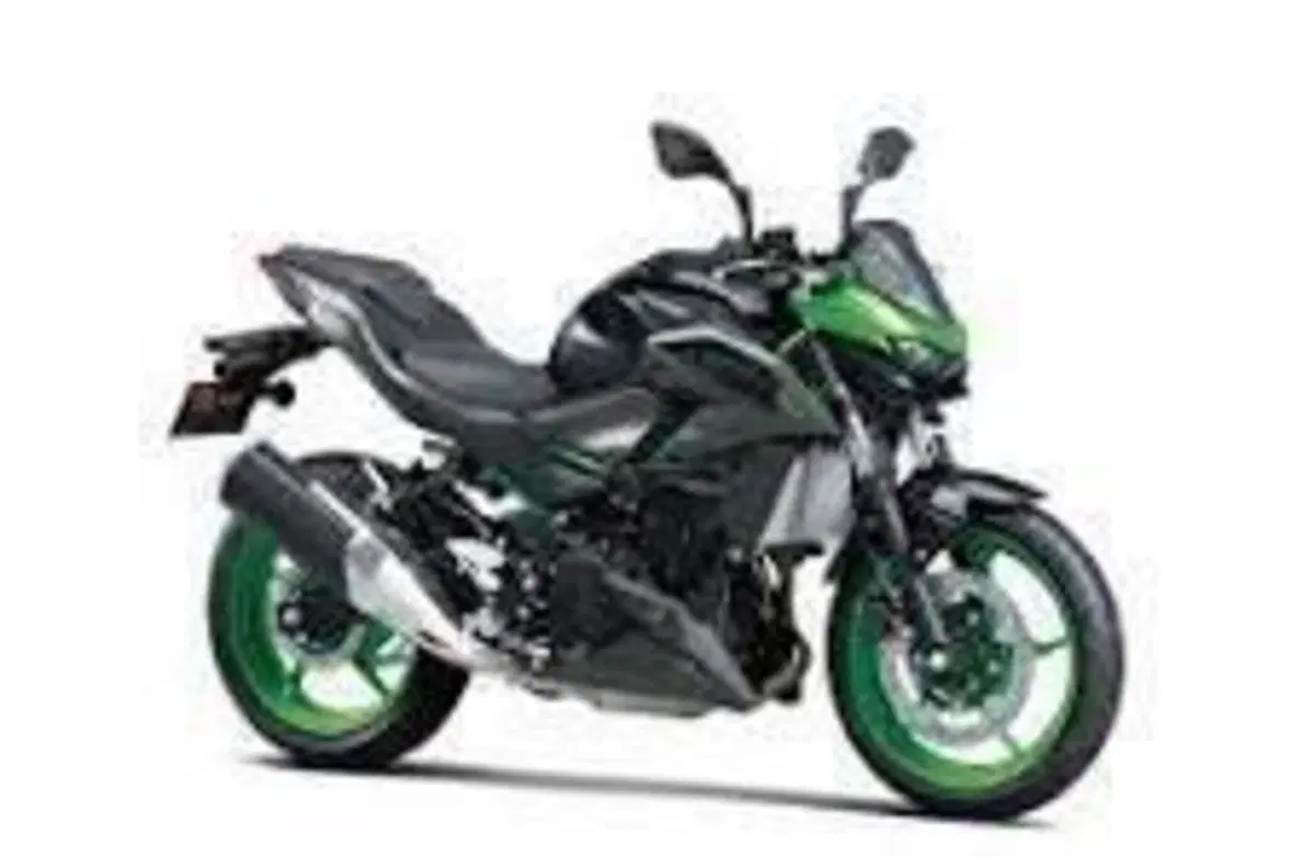 Kawasaki Z 500 SE (2024 - 26)