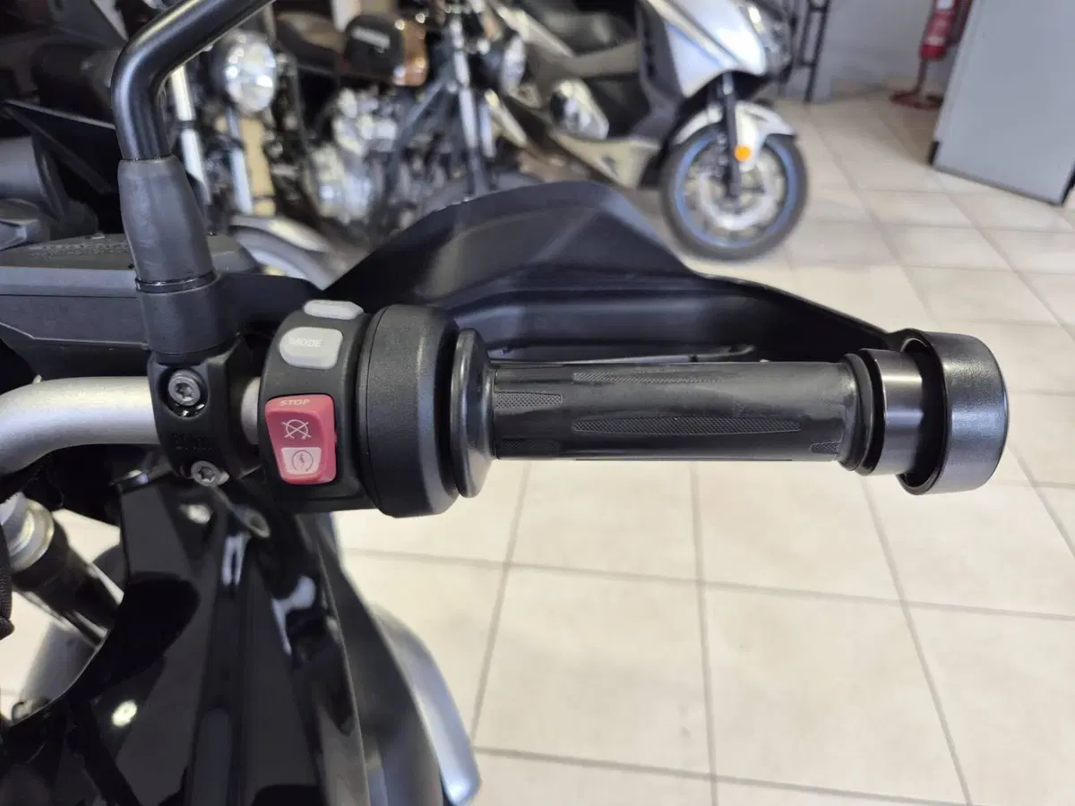 Bmw R 1200 GS (2013 - 16) (12)