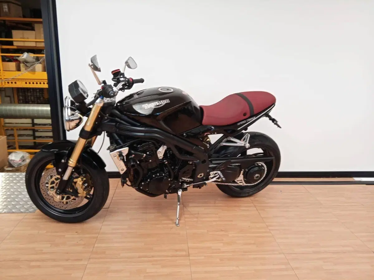 Triumph Speed Triple 1050 (2005 - 11) (2)