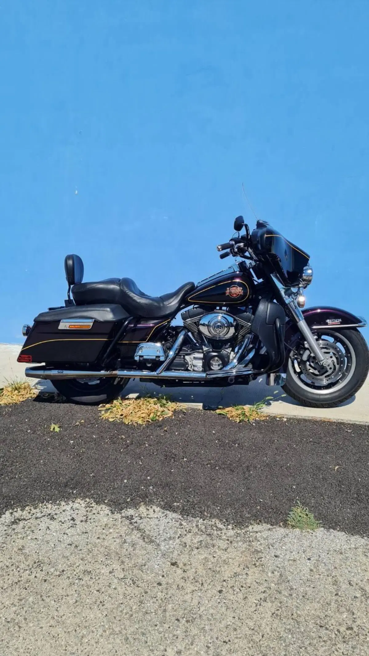Harley-Davidson 1450 Electra Glide Standard (2001 - 03) - FLHT