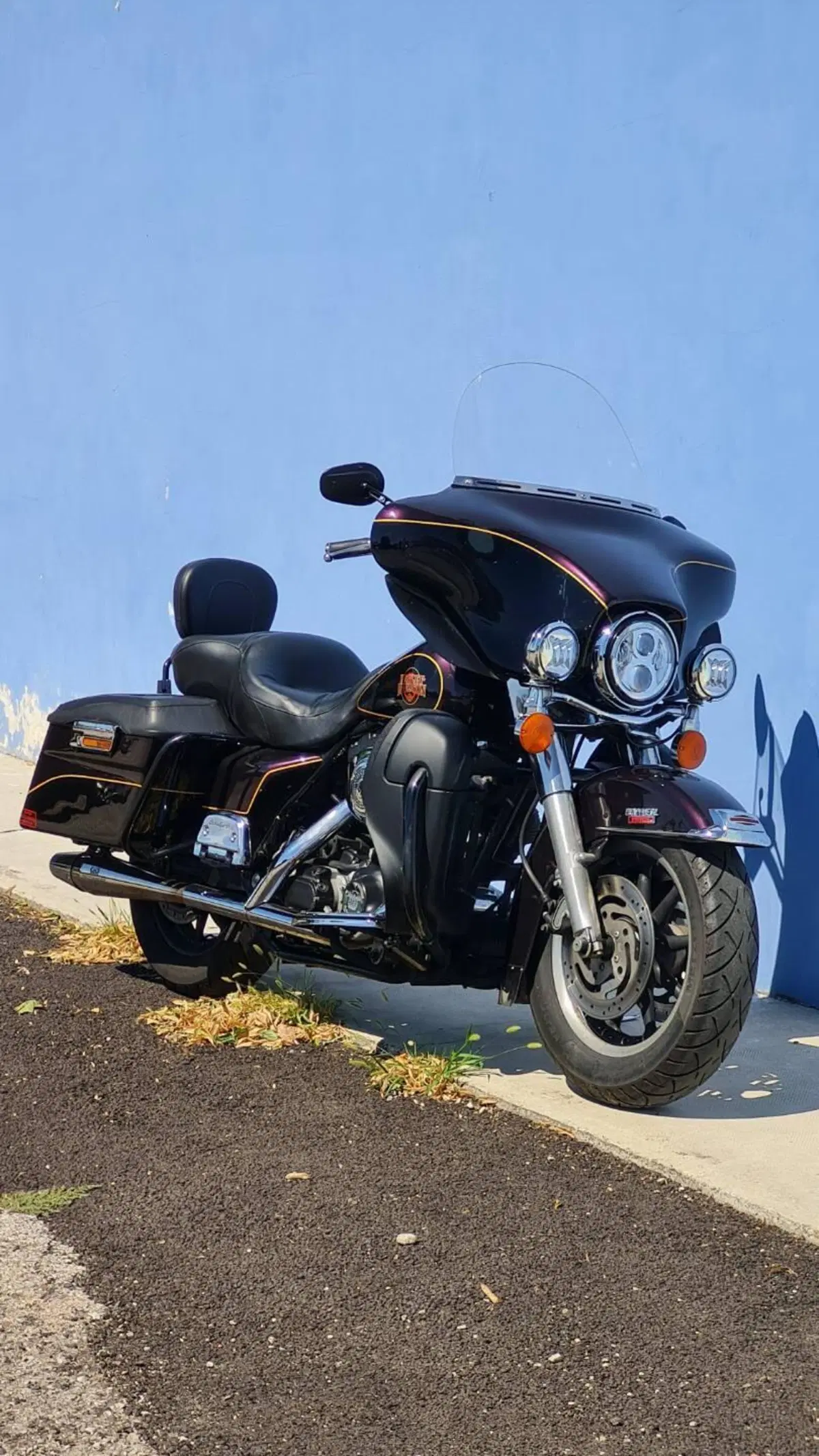 Harley-Davidson 1450 Electra Glide Standard (2001 - 03) - FLHT (4)