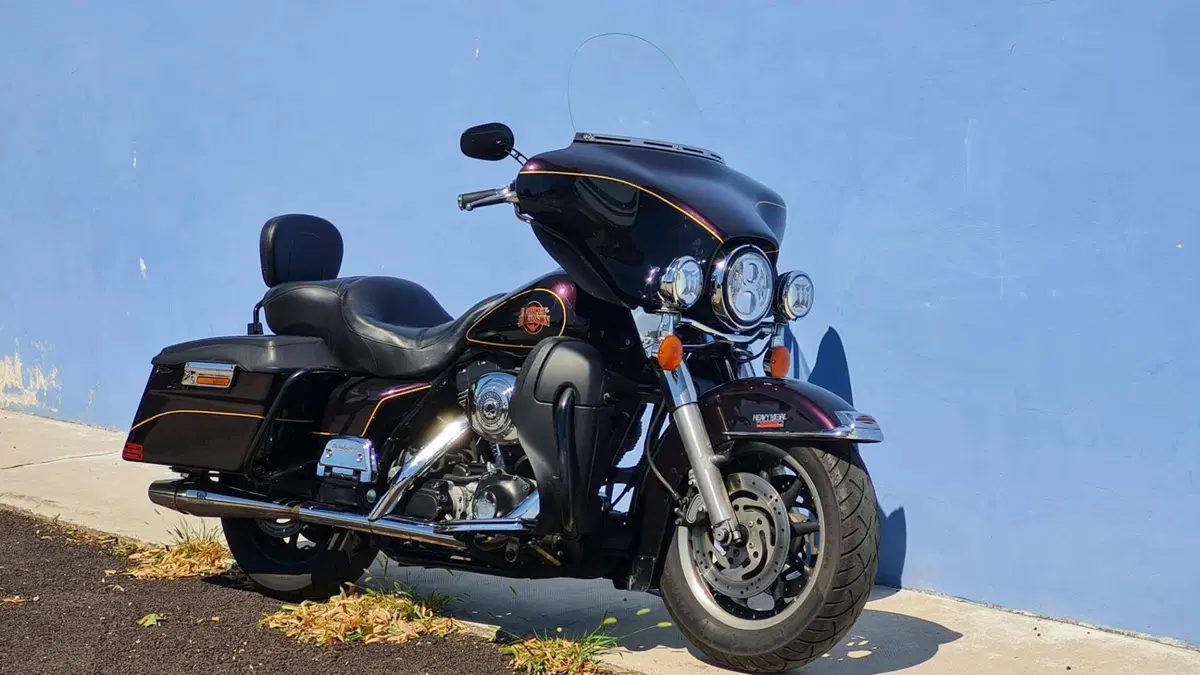 Harley-Davidson 1450 Electra Glide Standard (2001 - 03) - FLHT (5)