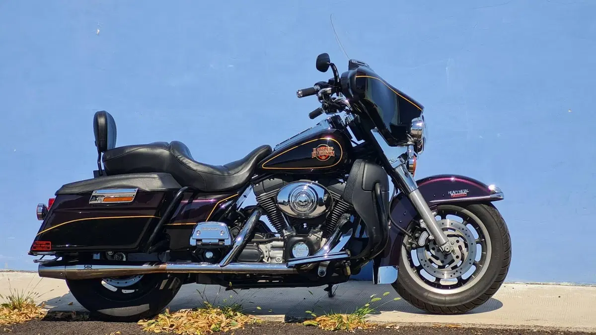 Harley-Davidson 1450 Electra Glide Standard (2001 - 03) - FLHT (7)