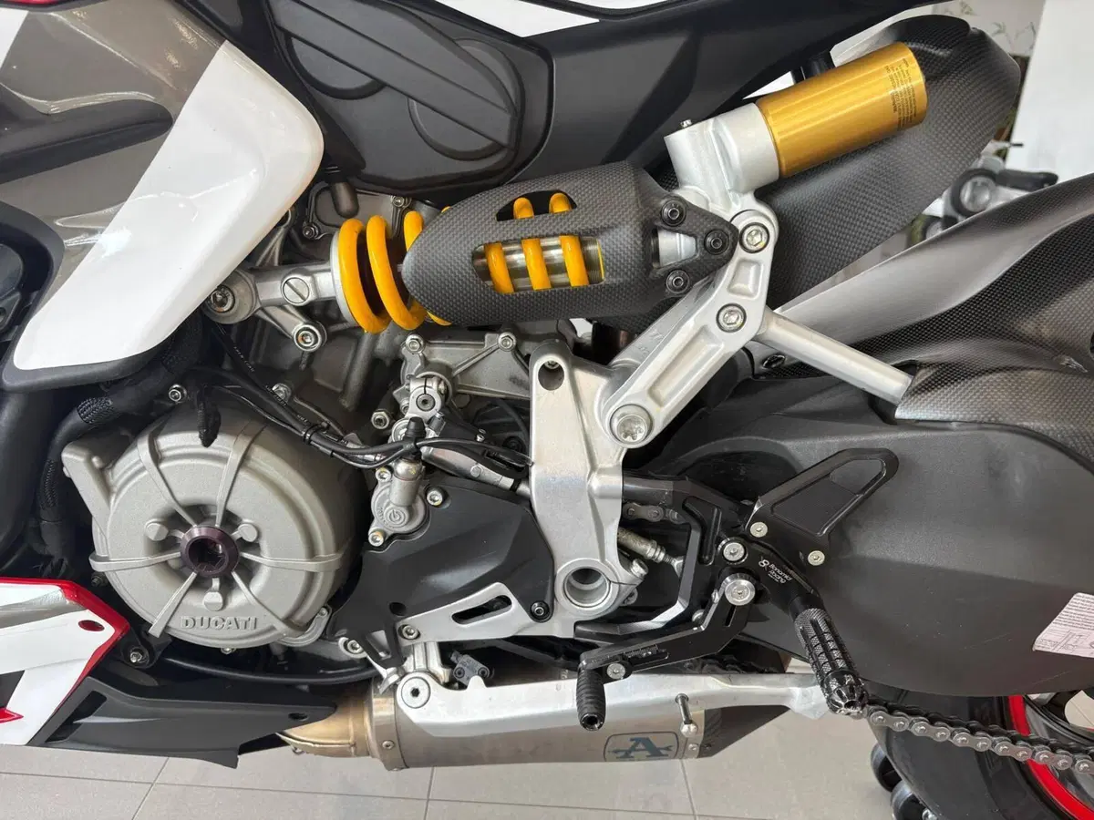 Ducati Streetfighter V2 955 Green (2022 - 23) (13)
