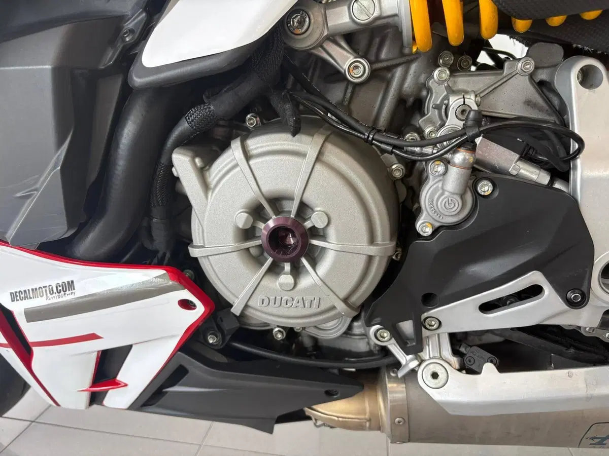 Ducati Streetfighter V2 955 Green (2022 - 23) (14)