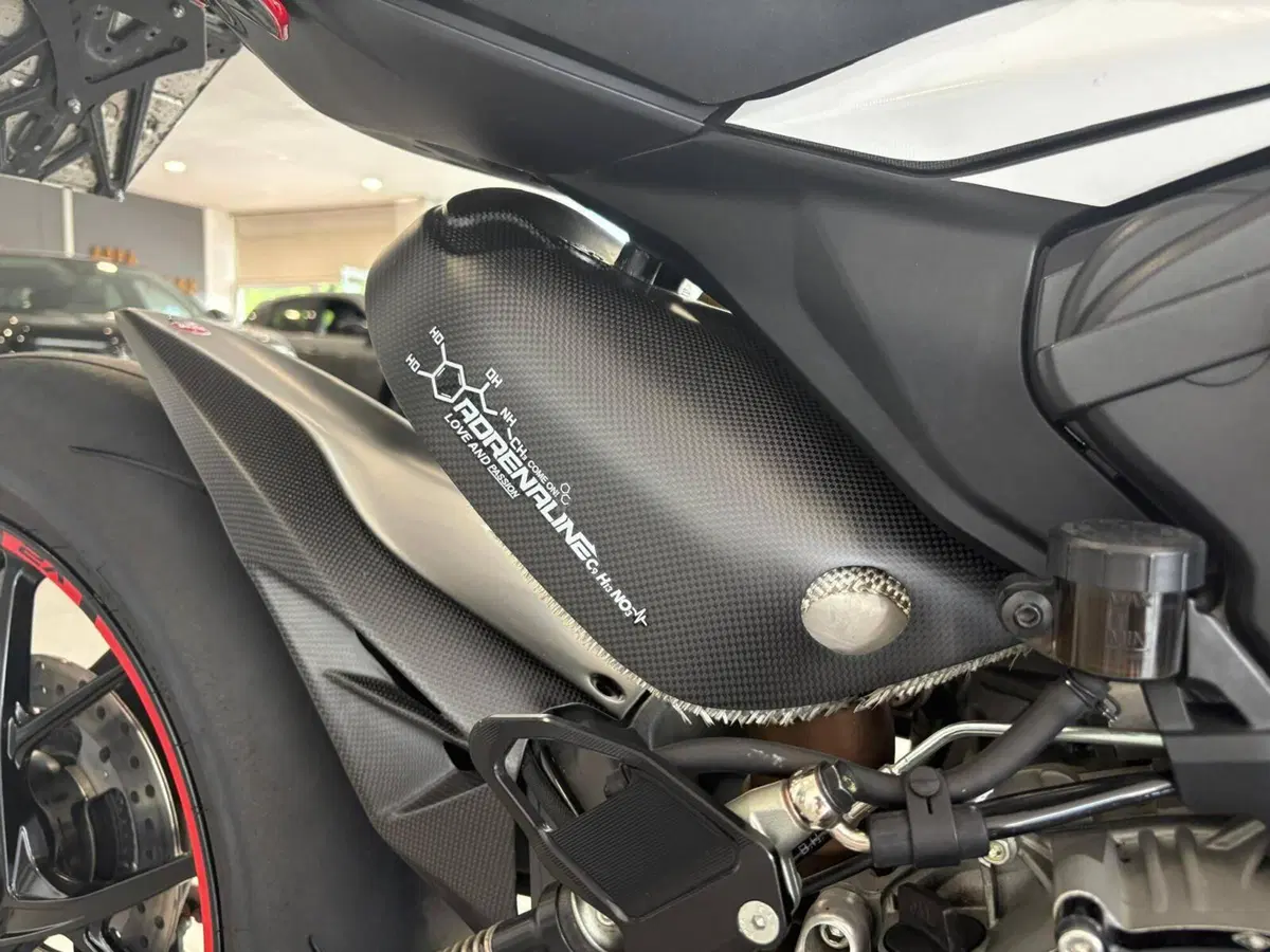 Ducati Streetfighter V2 955 Green (2022 - 23) (18)