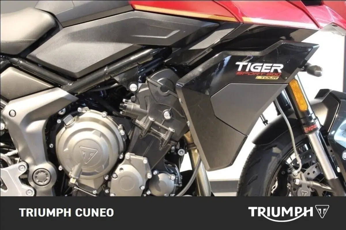 Triumph Tiger Sport 800 Tour (2026) (7)