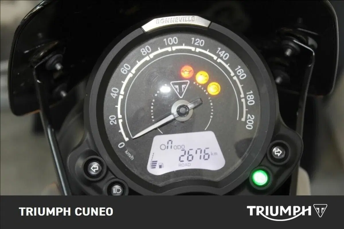 Triumph Speed Twin 900 (2023 - 24) (7)