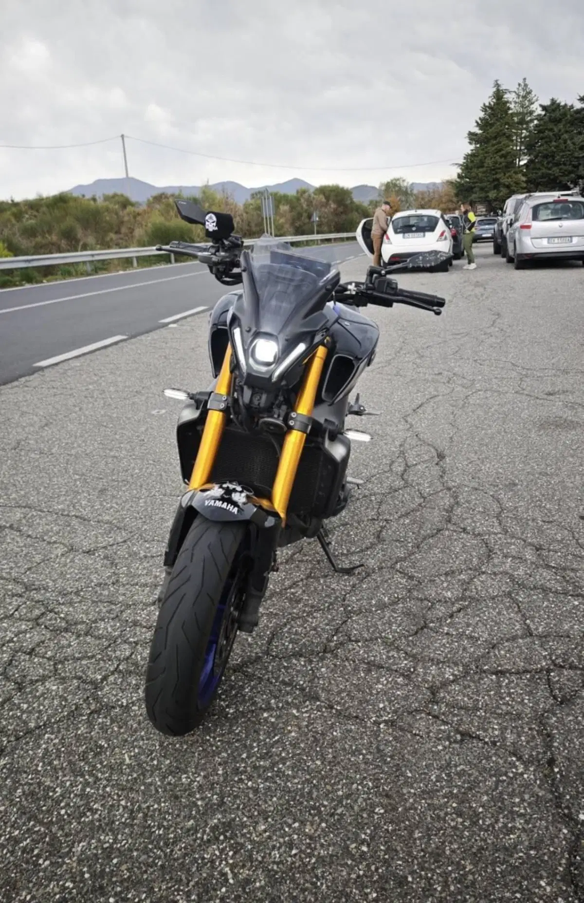 Yamaha MT-09 SP (2021 - 23) (5)