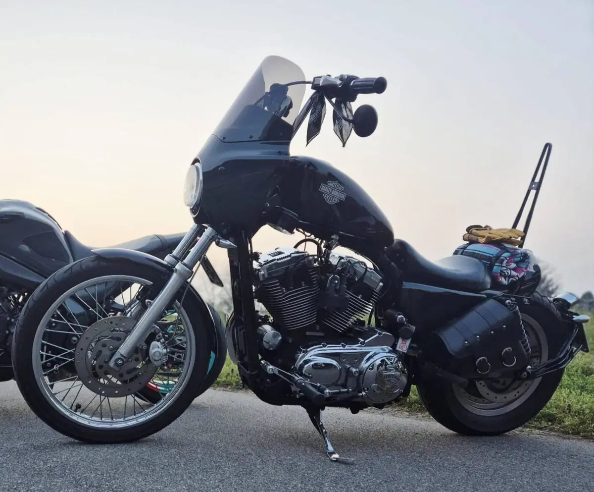 Harley-Davidson 1200 Custom (2004 - 06) - XL 1200C