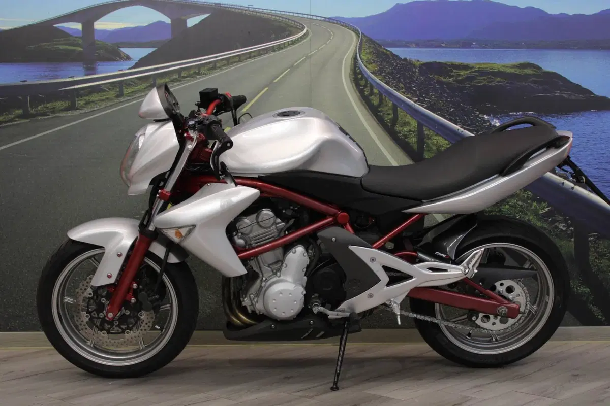 Kawasaki ER-6N (2006 - 09) (7)