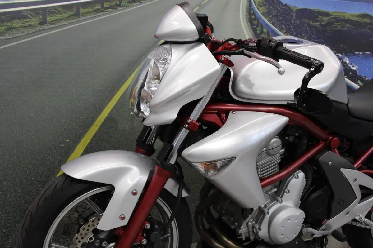 Kawasaki ER-6N (2006 - 09) (8)
