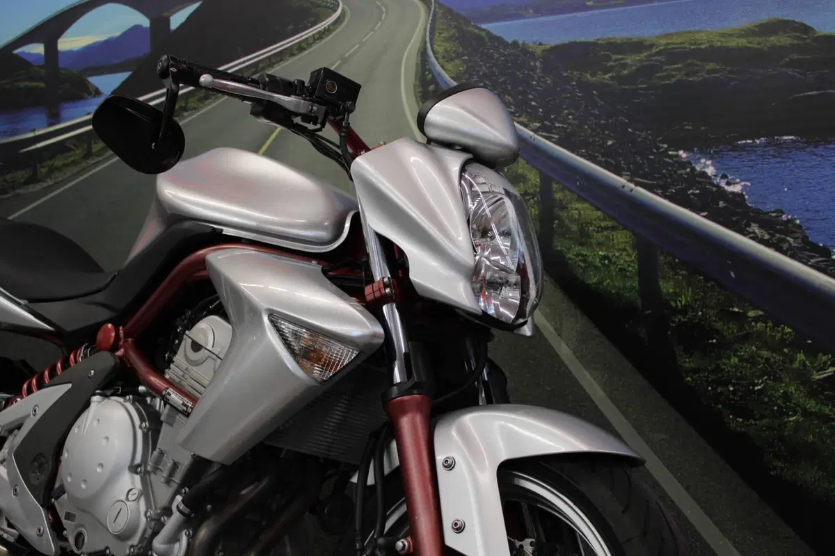 Kawasaki ER-6N (2006 - 09) (12)