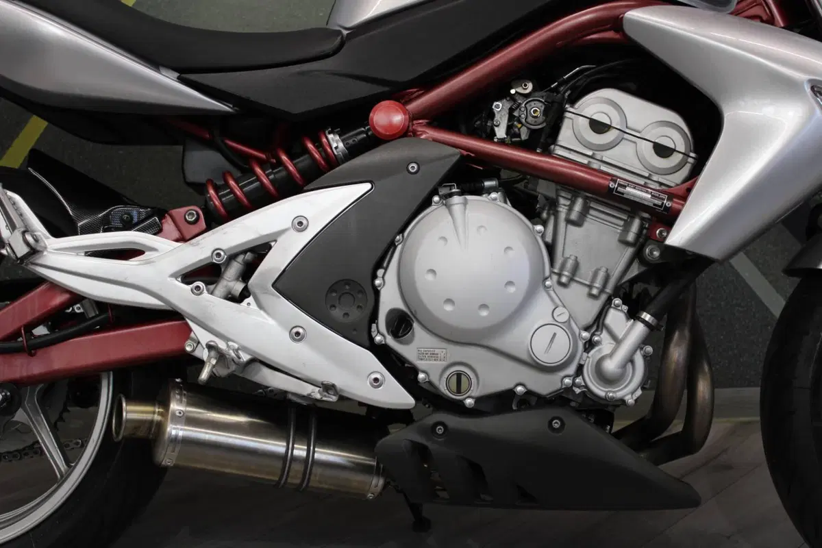 Kawasaki ER-6N (2006 - 09) (14)