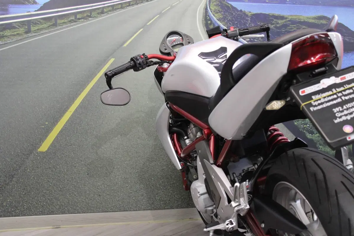 Kawasaki ER-6N (2006 - 09) (17)