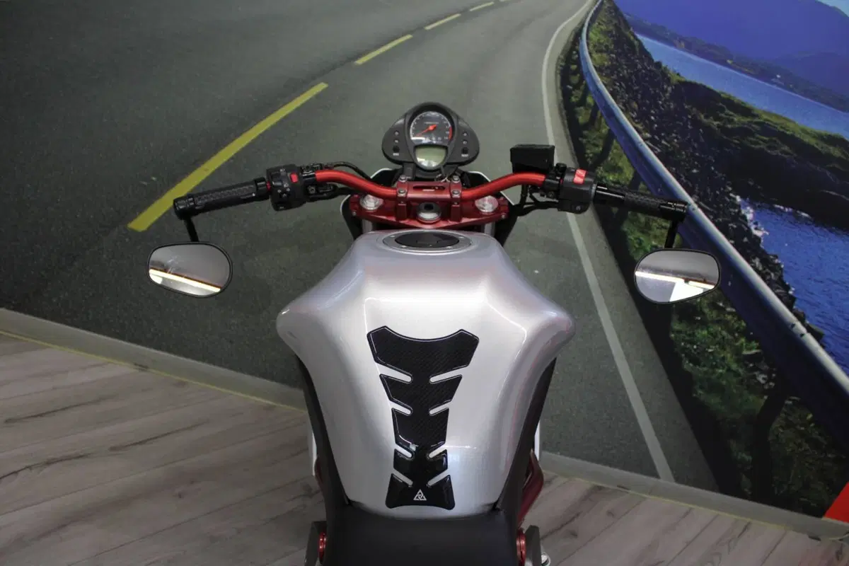 Kawasaki ER-6N (2006 - 09) (20)