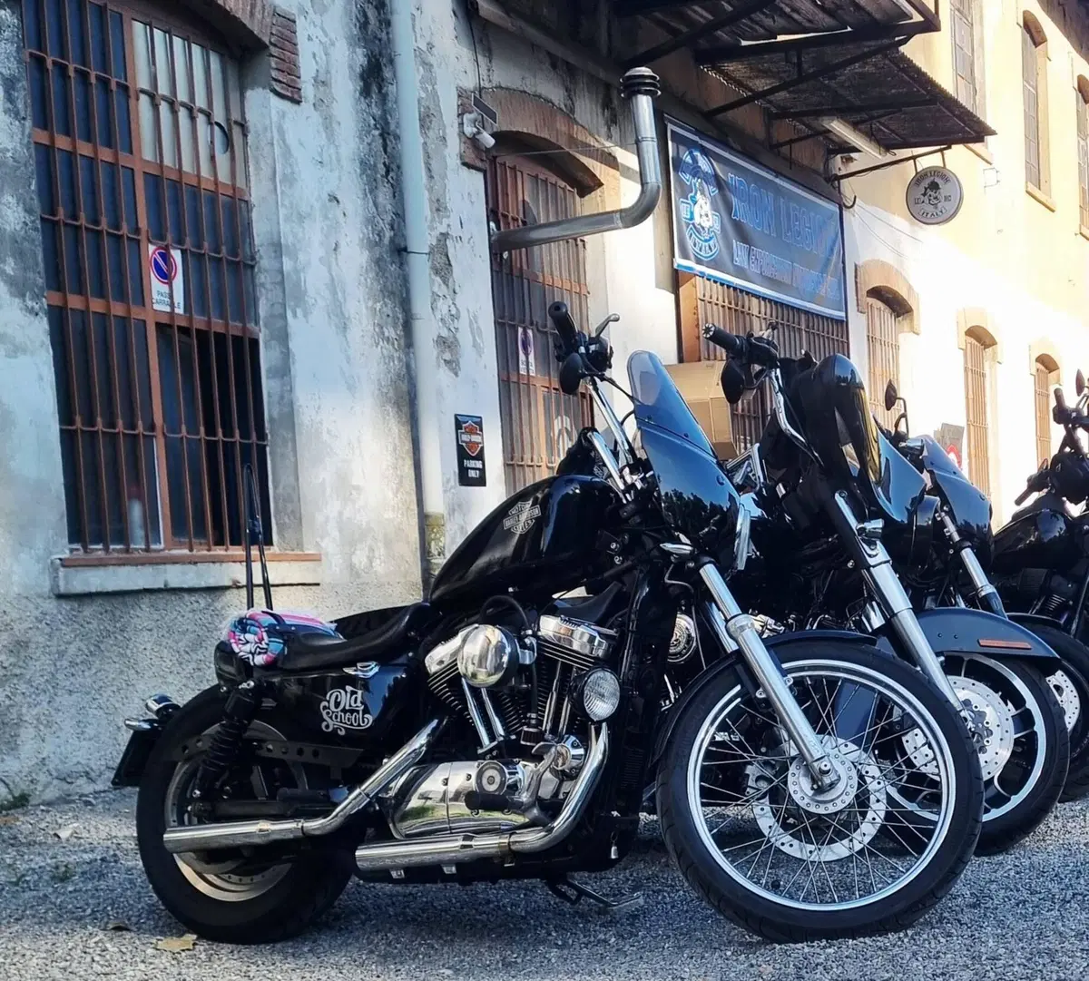 Harley-Davidson 1200 Custom (2004 - 06) - XL 1200C (2)