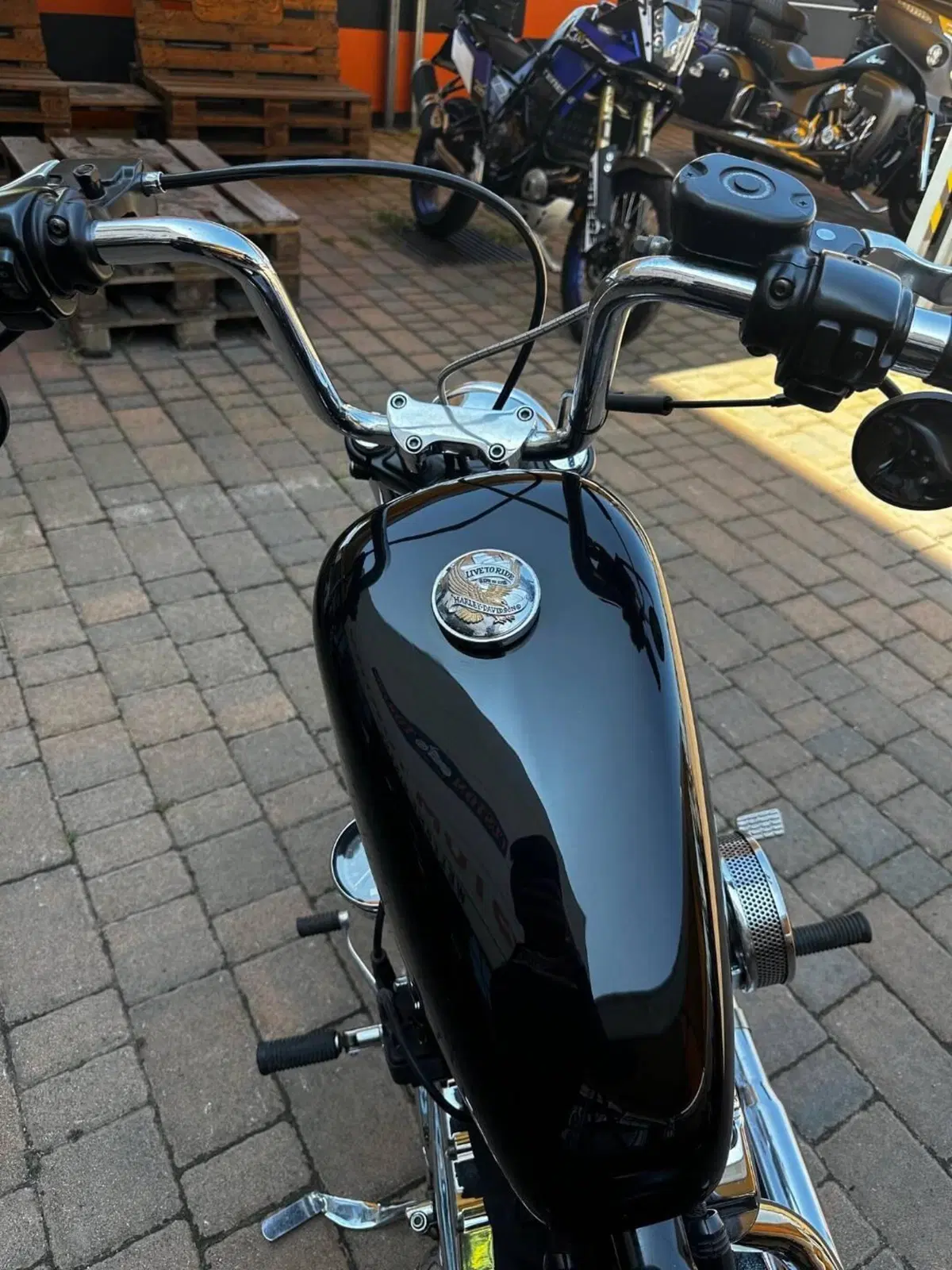 Harley-Davidson 1200 Custom (2004 - 06) - XL 1200C (5)