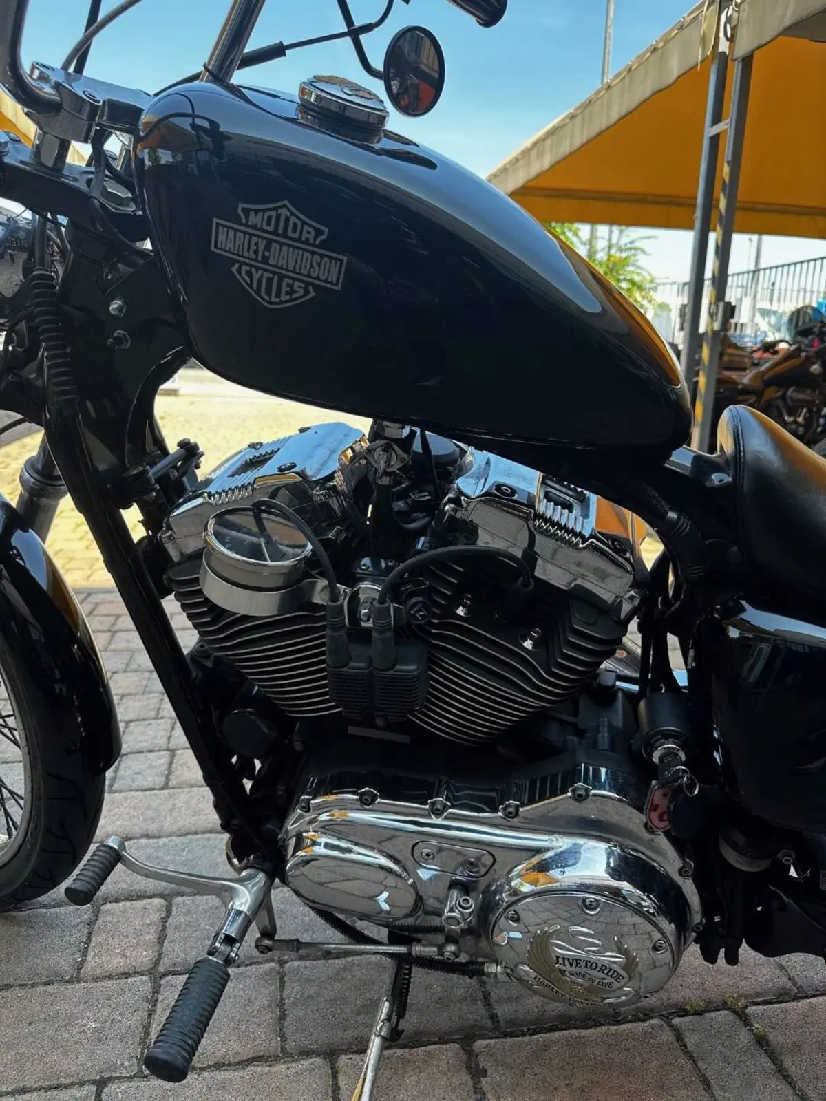 Harley-Davidson 1200 Custom (2004 - 06) - XL 1200C (9)