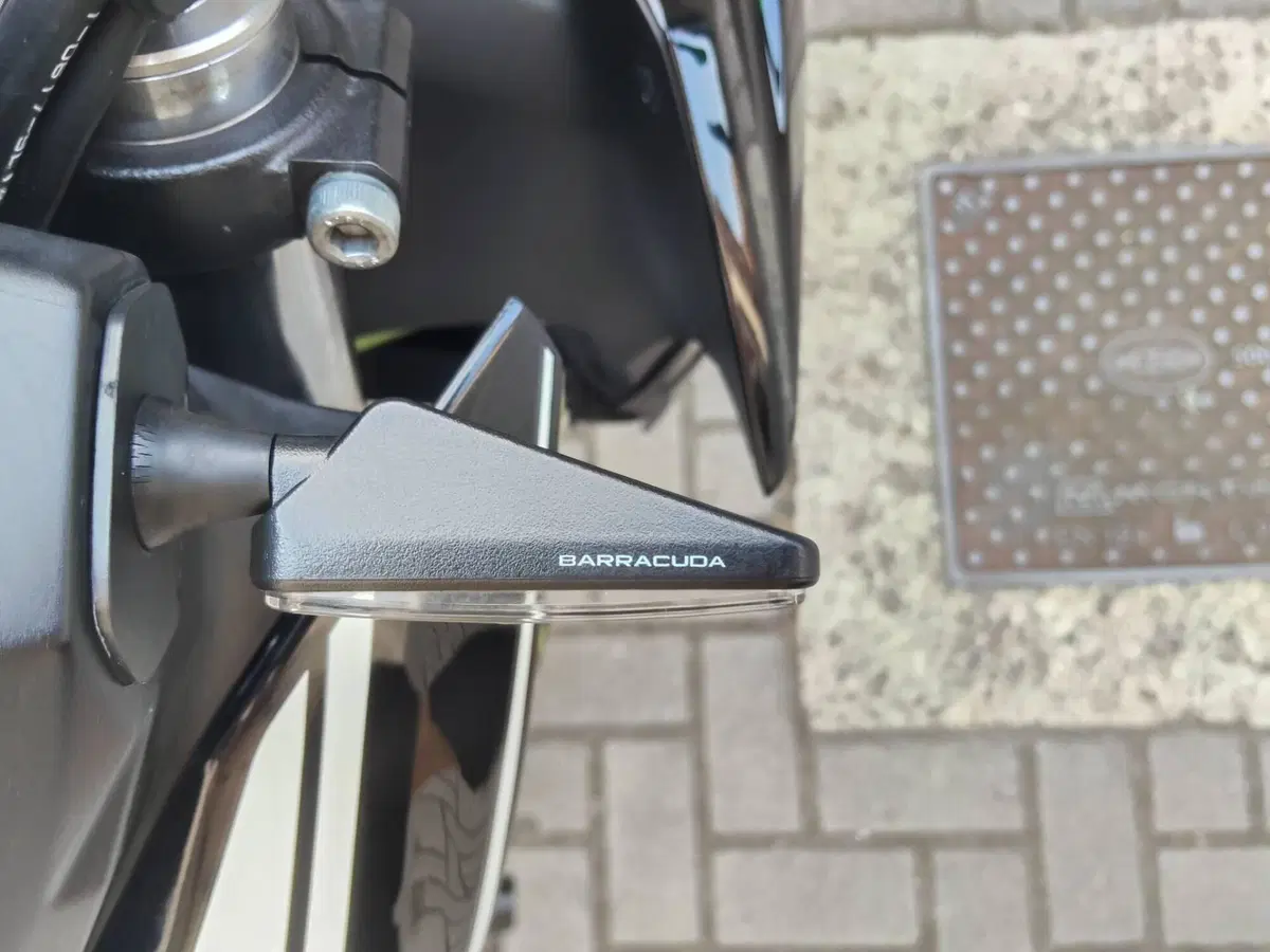Kawasaki Z 650 (2021 - 24) (8)