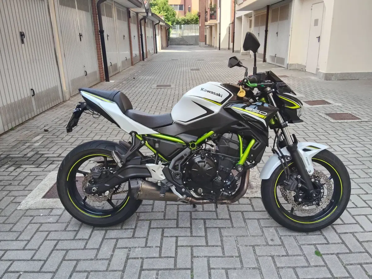 Kawasaki Z 650 (2021 - 24)