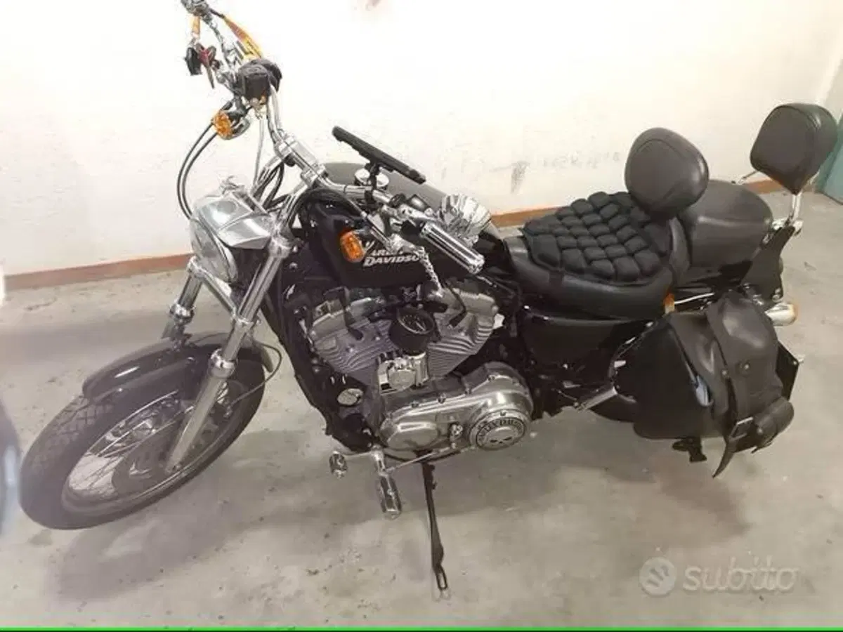 Harley-Davidson 883 Custom (2008 - 12) - XL 883C (2)