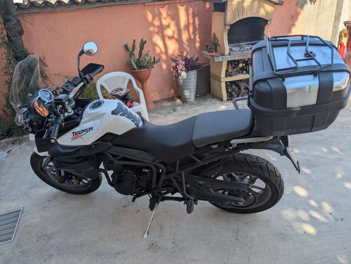 Triumph Tiger 800 (2010 - 14) (2)