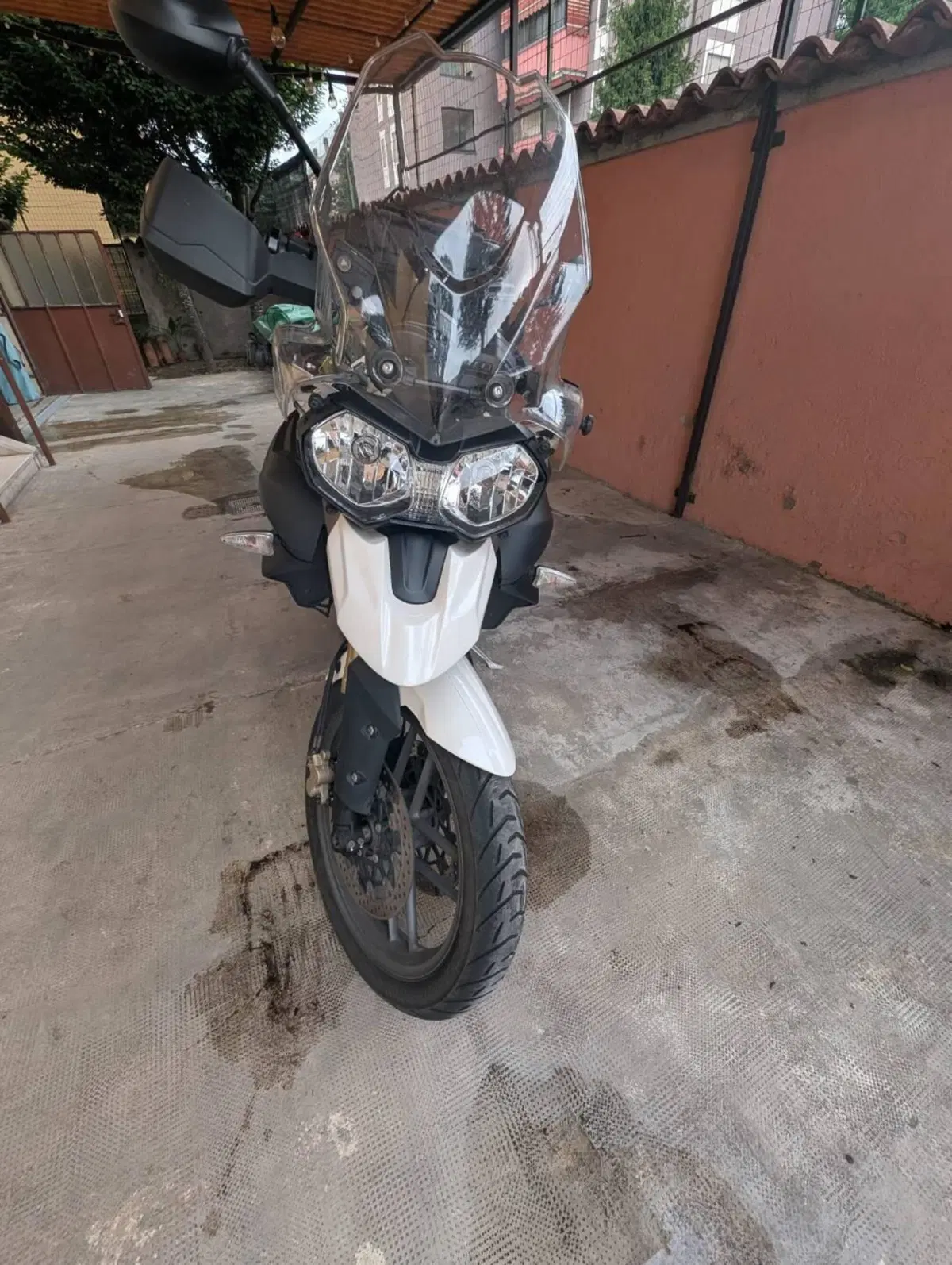 Triumph Tiger 800 (2010 - 14) (5)