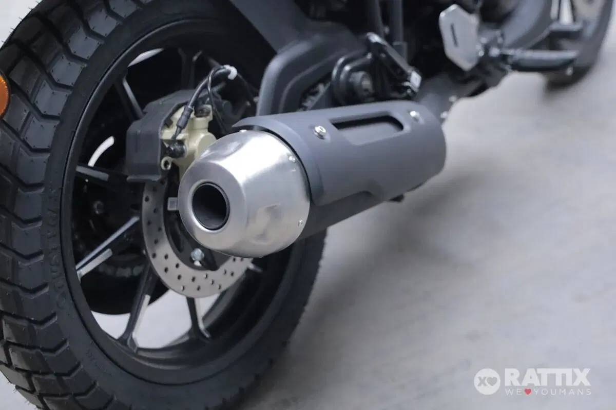 TVS Motor Ronin 250 (2024 - 26) (7)