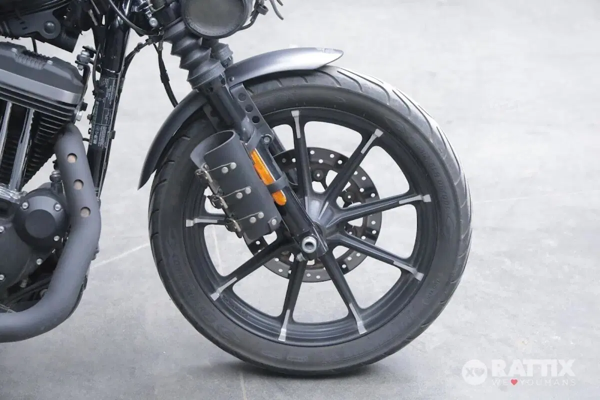 Harley-Davidson 883 Iron (2017 - 20) - XL 883N (9)