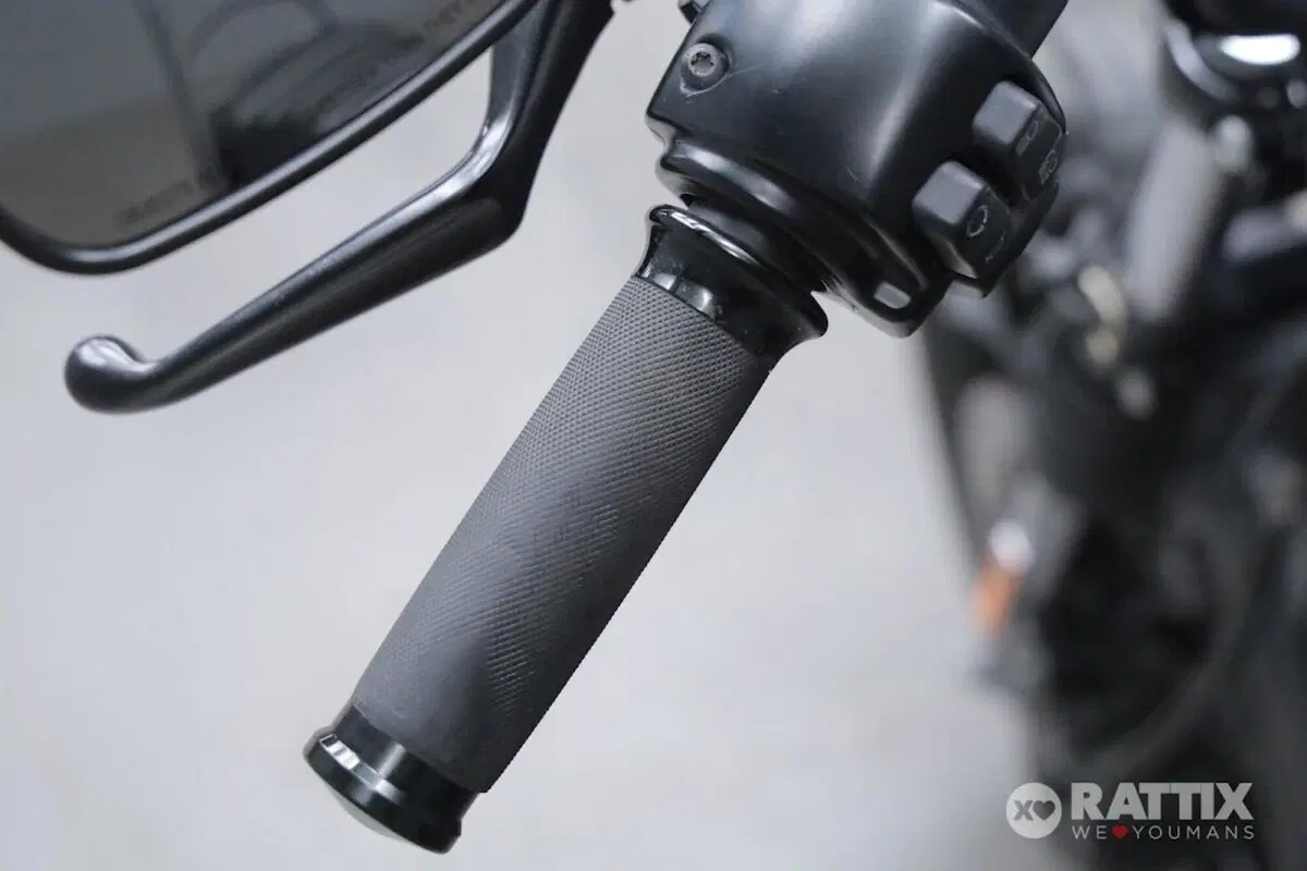 Harley-Davidson 883 Iron (2017 - 20) - XL 883N (11)
