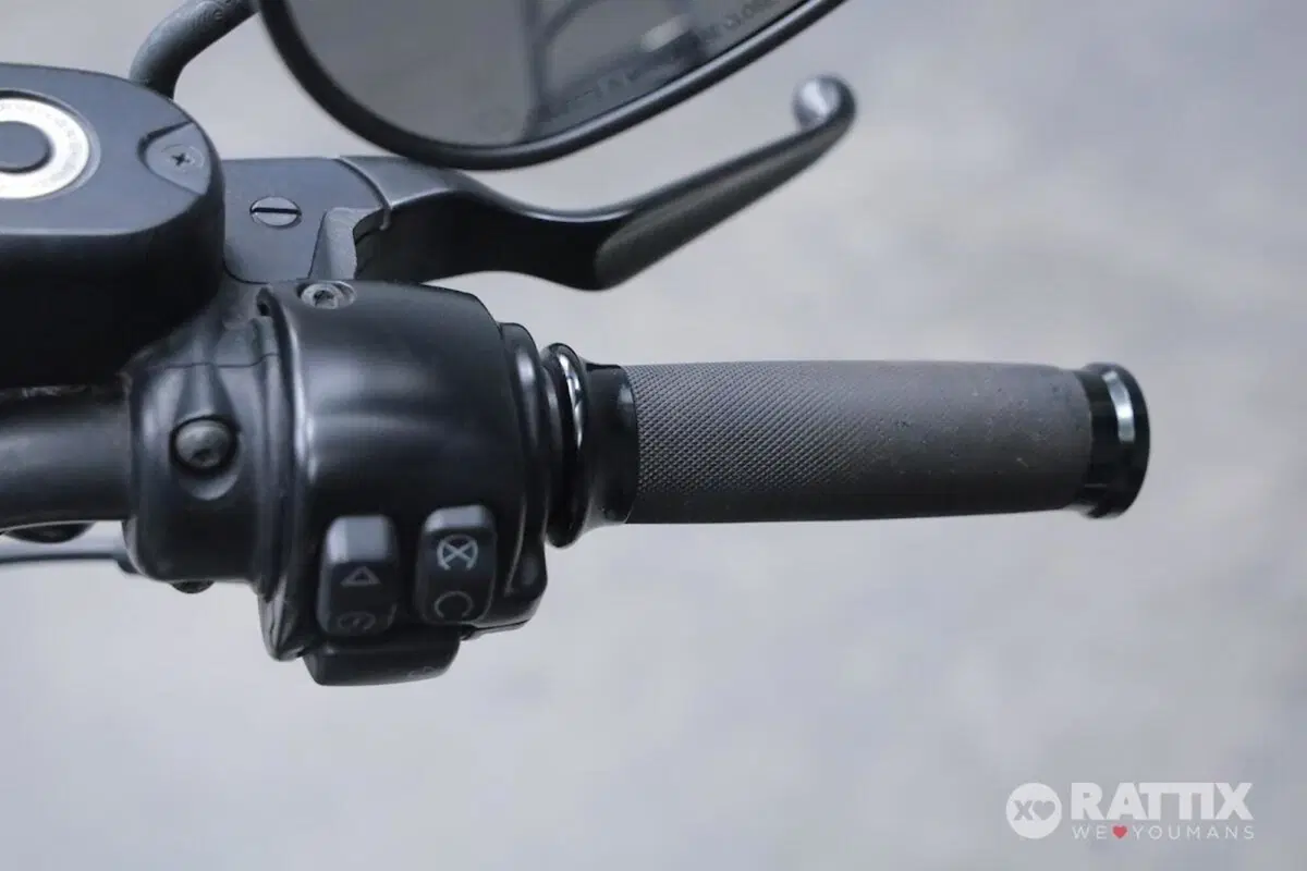 Harley-Davidson 883 Iron (2017 - 20) - XL 883N (12)