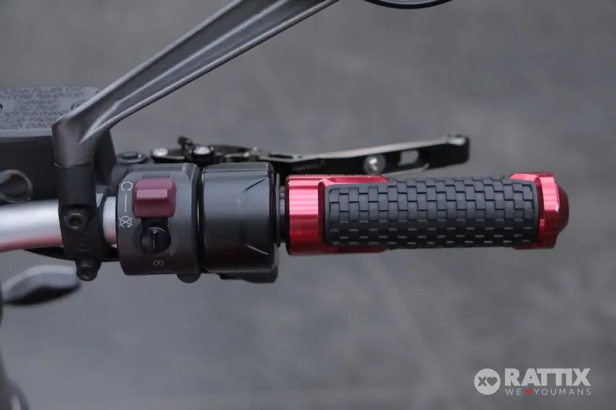 Ducati Monster 821 Stripe ABS (2015 - 17) (12)
