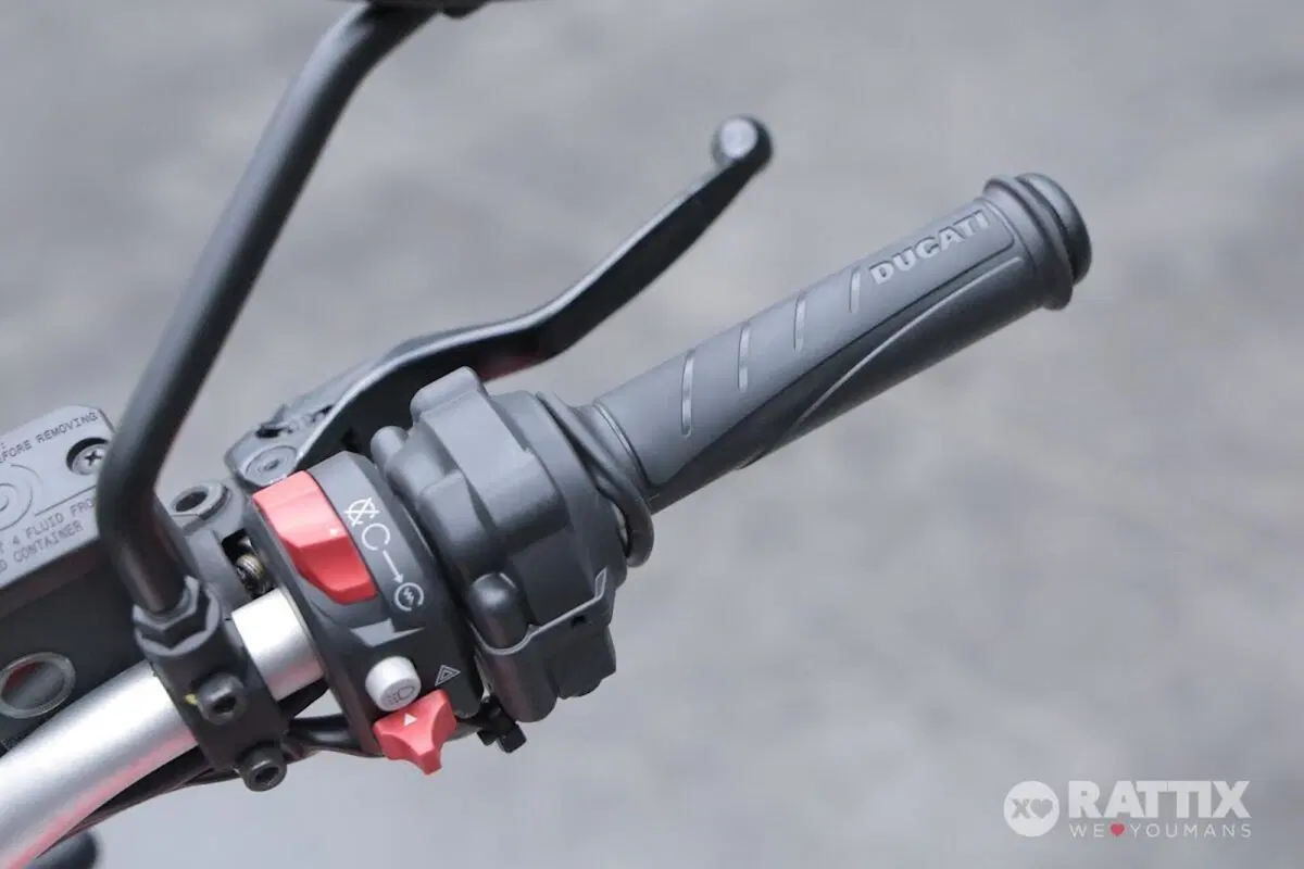 Ducati Scrambler 800 Icon (2025 - 26) (13)