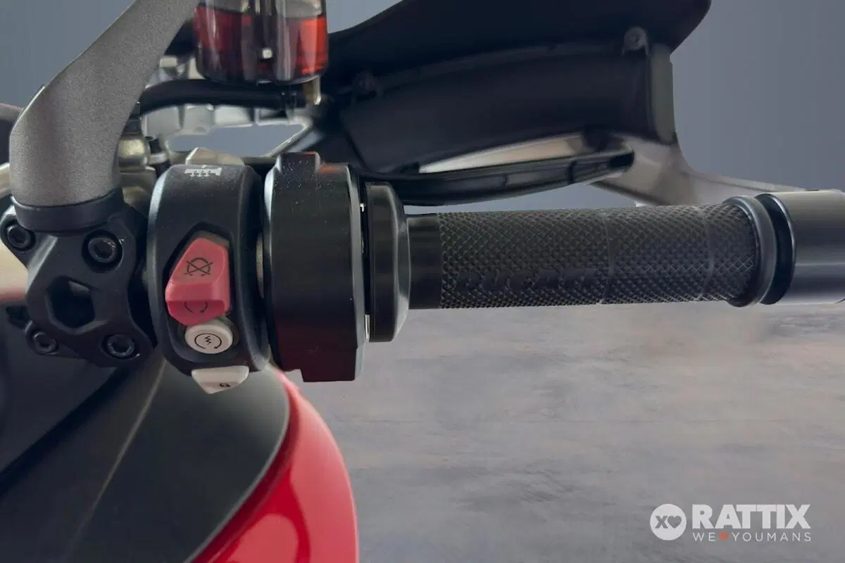 Ducati Multistrada 1260 (2018 - 20) (18)