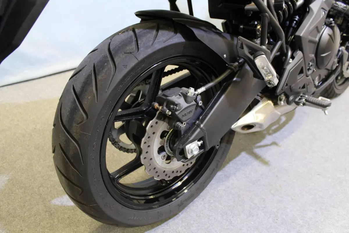 Kawasaki Versys 650 (2025 - 26) (6)
