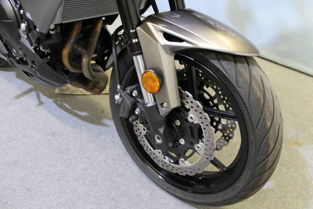 Kawasaki Versys 650 (2025 - 26) (7)