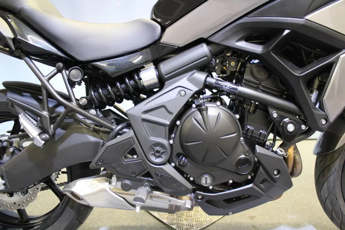 Kawasaki Versys 650 (2025 - 26) (9)