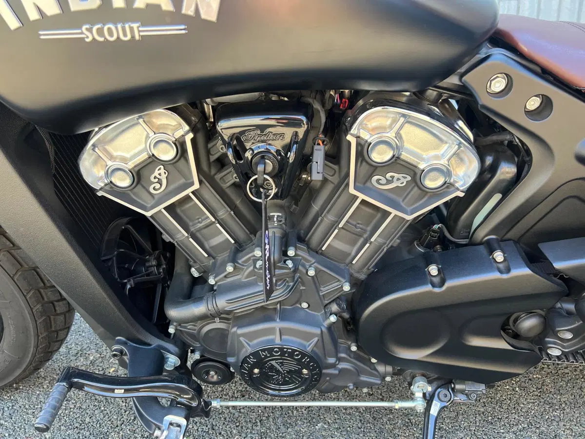 Indian Scout 1133 Bobber (2021 - 25) (13)