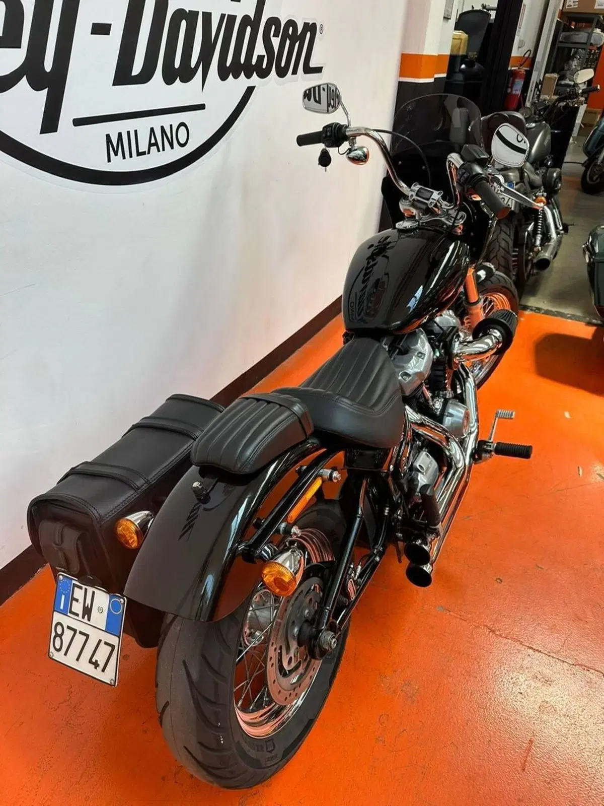 Harley-Davidson Softail Standard (2021 - 25) (3)