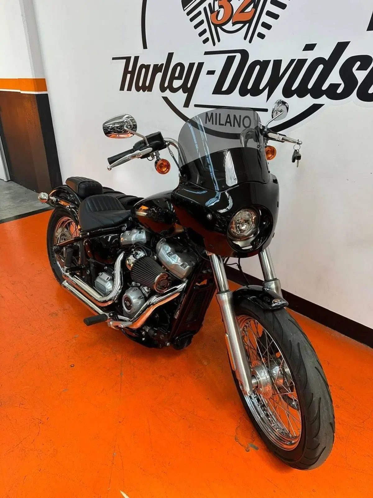 Harley-Davidson Softail Standard (2021 - 25) (2)