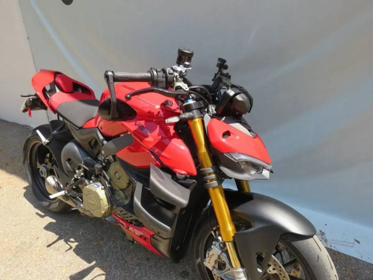 Ducati Streetfighter V4 S (2023 - 24) (8)