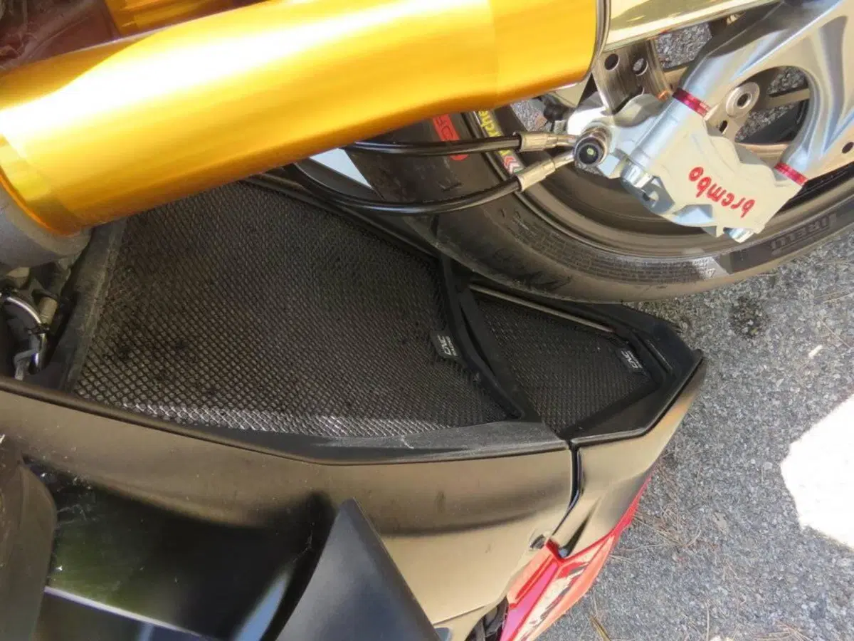 Ducati Streetfighter V4 S (2023 - 24) (13)