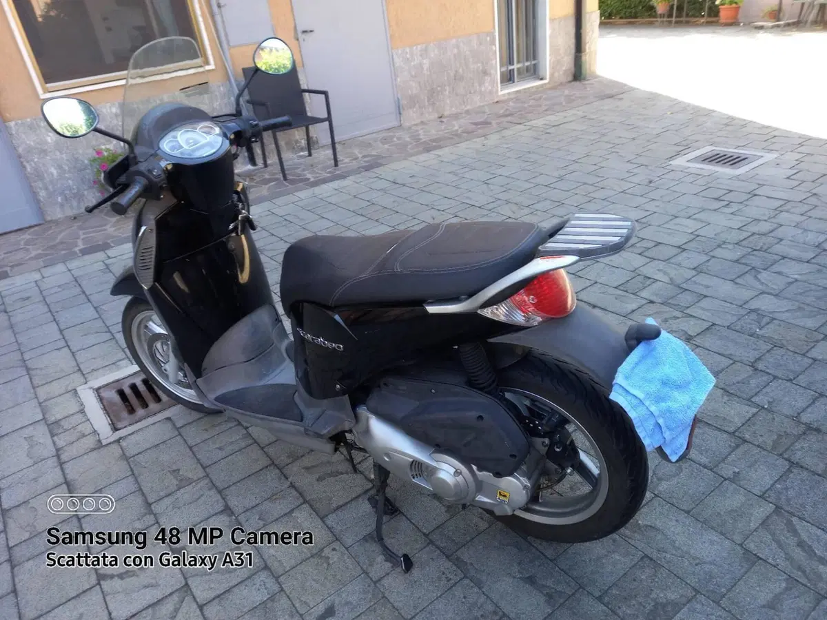 Aprilia Scarabeo 200 i.e. (2009 - 11) (4)